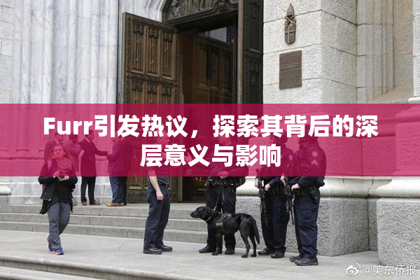 Furr引发热议，探索其背后的深层意义与影响
