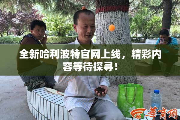 全新哈利波特官网上线，精彩内容等待探寻！