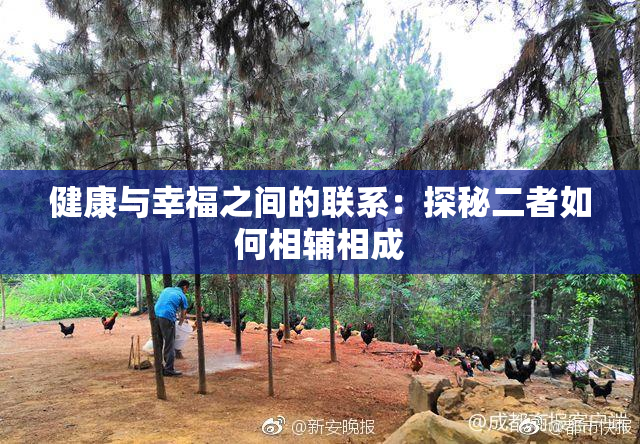 健康与幸福之间的联系：探秘二者如何相辅相成
