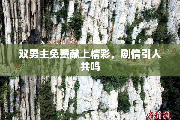 双男主免费献上精彩，剧情引人共鸣