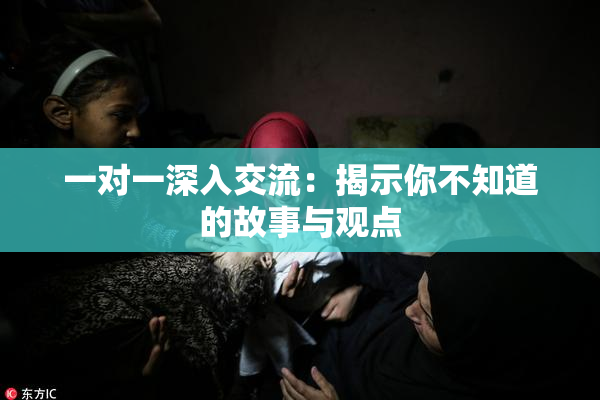 一对一深入交流：揭示你不知道的故事与观点
