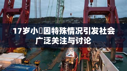 17岁小泬因特殊情况引发社会广泛关注与讨论