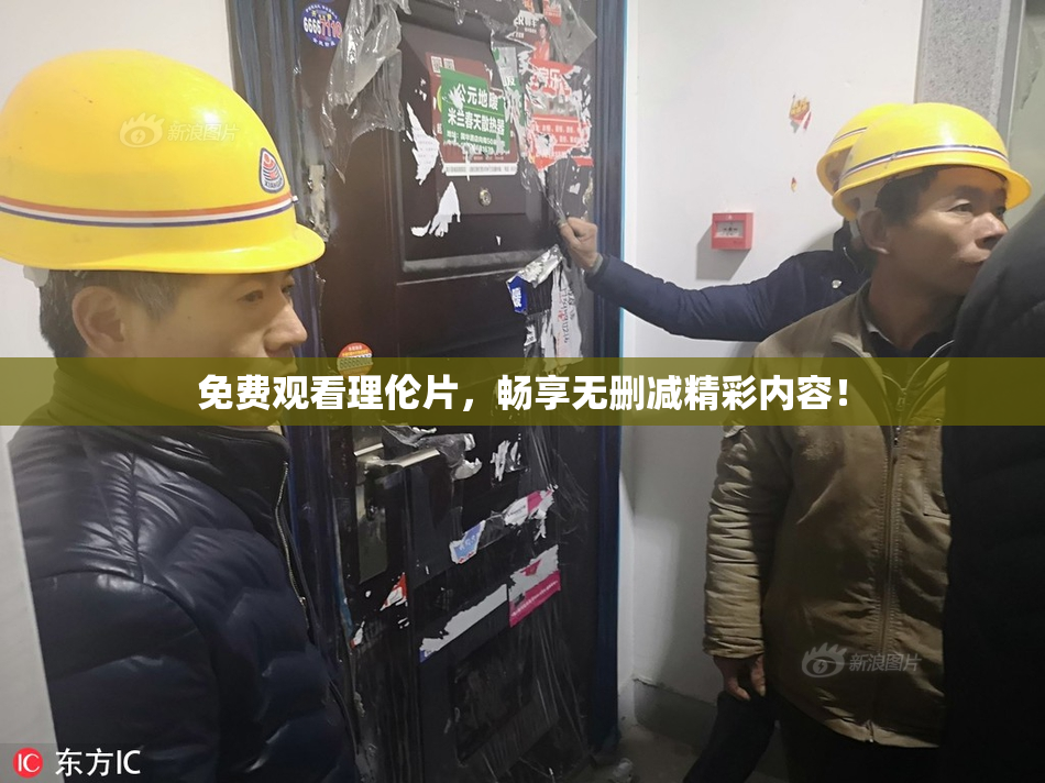 免费观看理伦片，畅享无删减精彩内容！