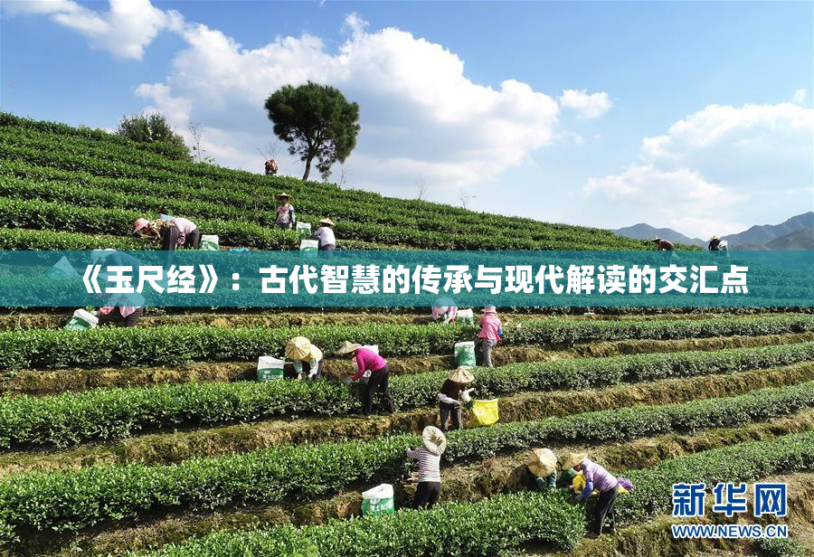 《玉尺经》：古代智慧的传承与现代解读的交汇点