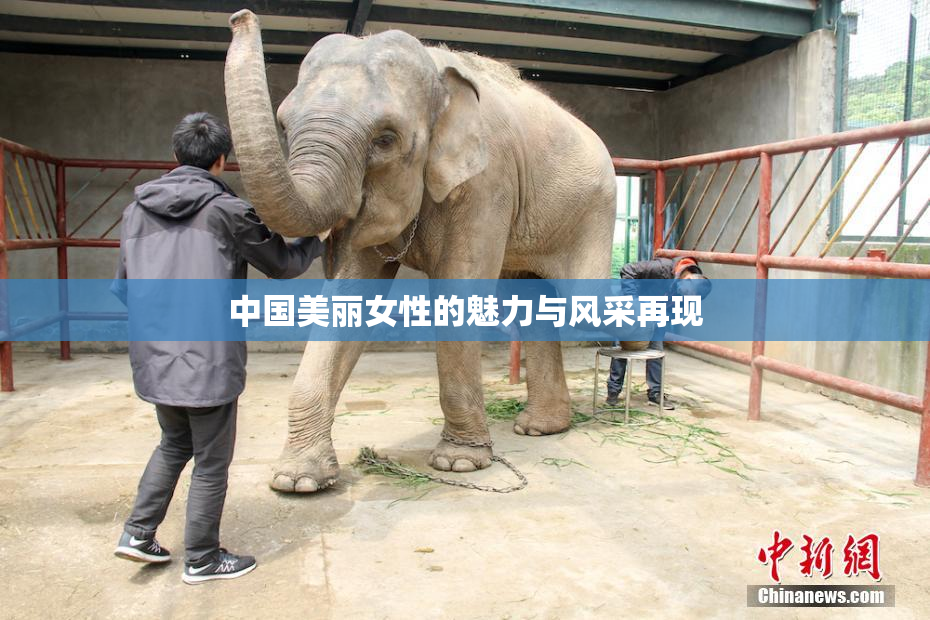 中国美丽女性的魅力与风采再现