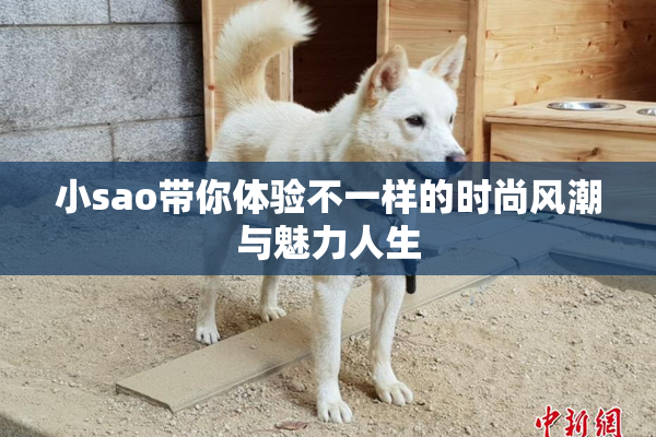 小sao带你体验不一样的时尚风潮与魅力人生