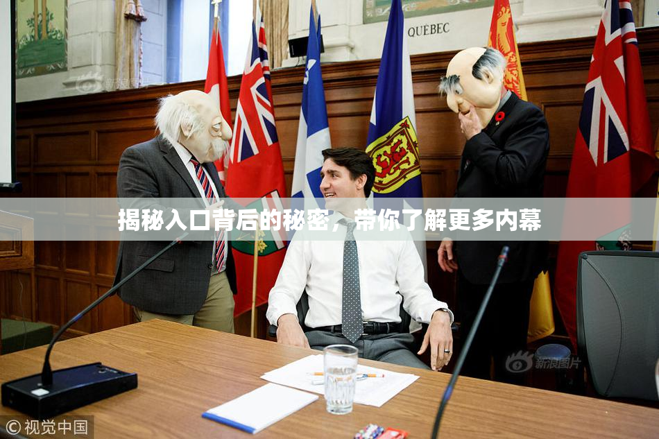 揭秘入口背后的秘密，带你了解更多内幕