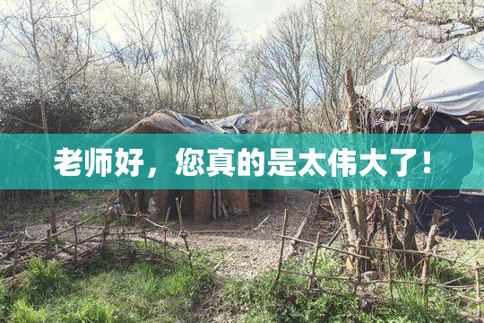老师好，您真的是太伟大了！