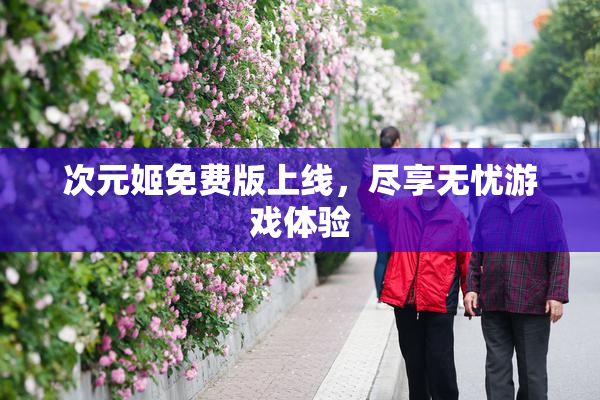 次元姬免费版上线，尽享无忧游戏体验