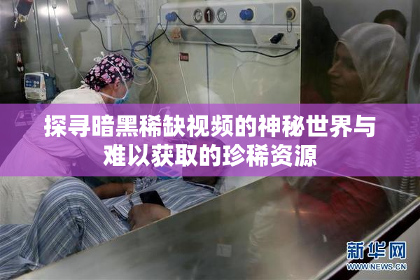 探寻暗黑稀缺视频的神秘世界与难以获取的珍稀资源