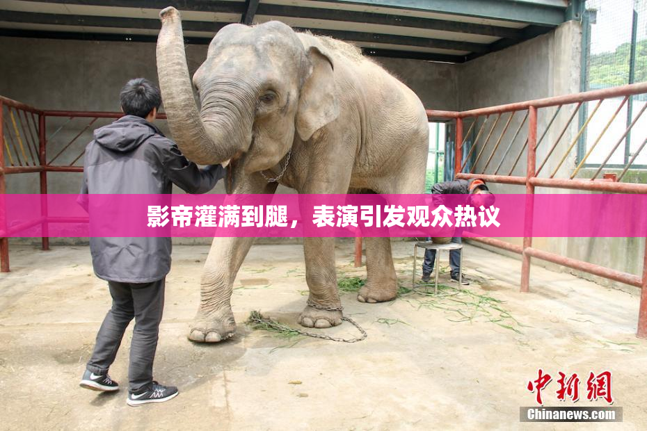 影帝灌满到腿，表演引发观众热议