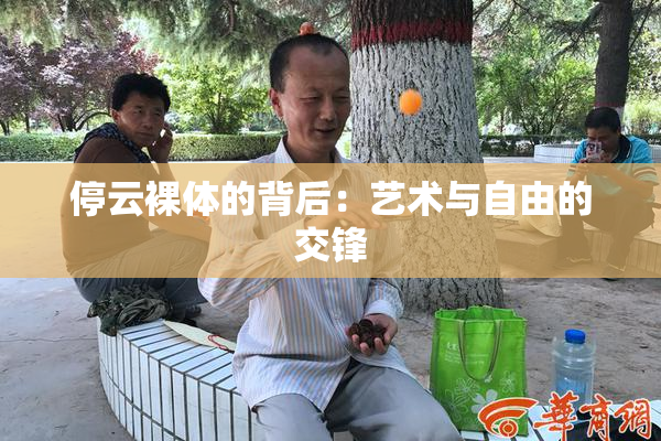 停云裸体的背后：艺术与自由的交锋