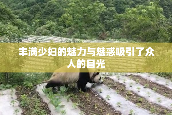 丰满少妇的魅力与魅惑吸引了众人的目光