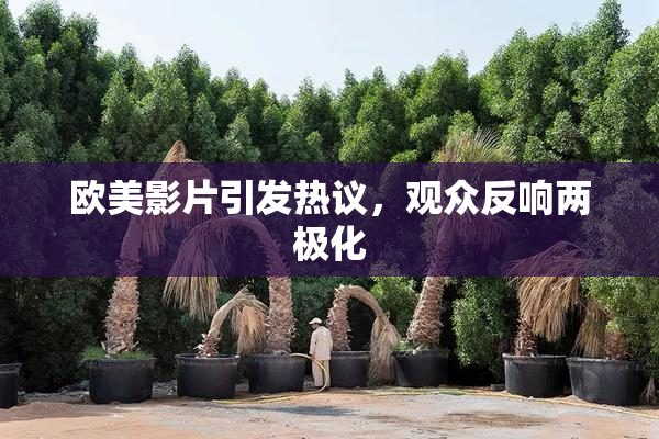 欧美影片引发热议，观众反响两极化