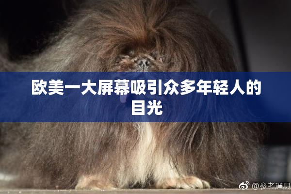欧美一大屏幕吸引众多年轻人的目光