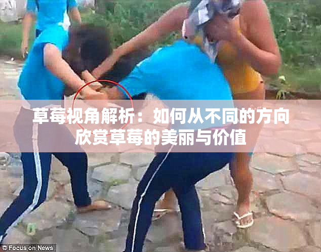 草莓视角解析：如何从不同的方向欣赏草莓的美丽与价值
