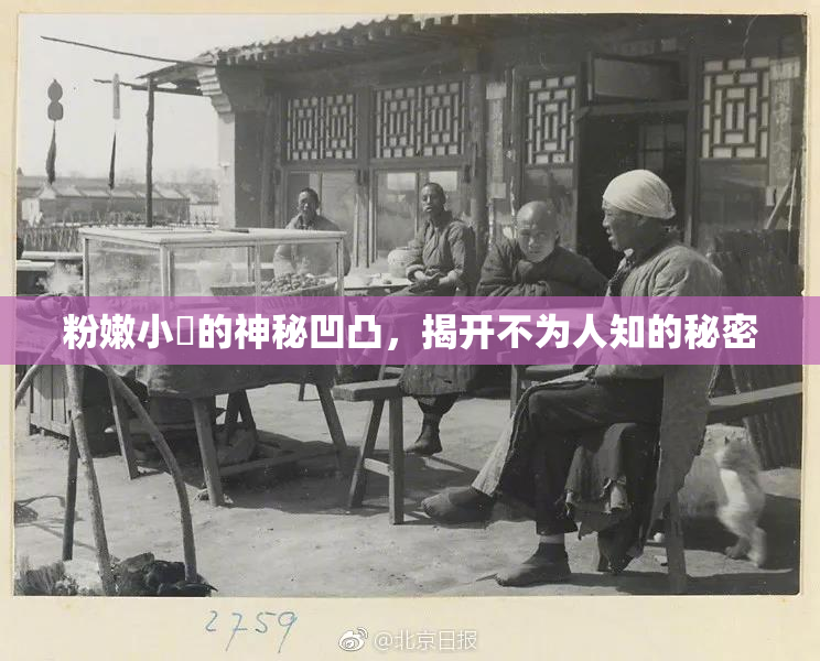 粉嫩小泬的神秘凹凸，揭开不为人知的秘密