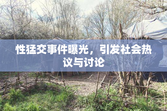 性猛交事件曝光，引发社会热议与讨论