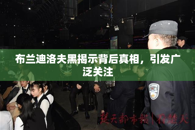 布兰迪洛夫黑揭示背后真相，引发广泛关注