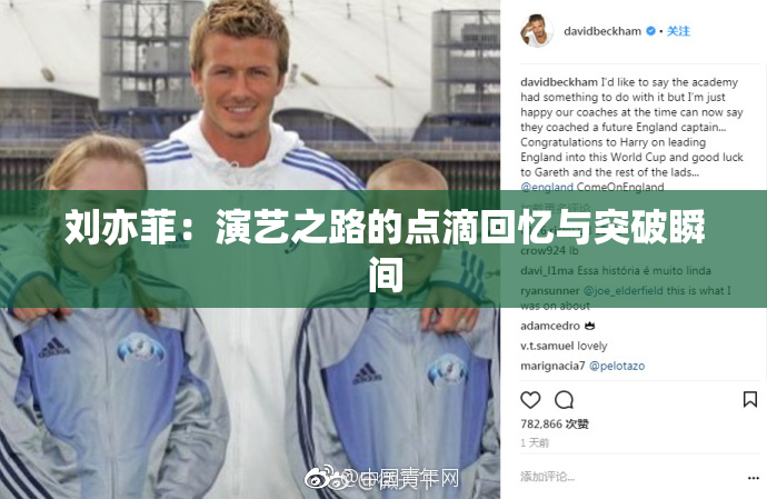 刘亦菲：演艺之路的点滴回忆与突破瞬间