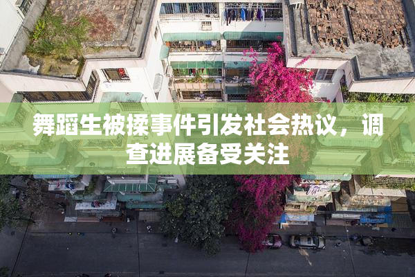 舞蹈生被揉事件引发社会热议，调查进展备受关注