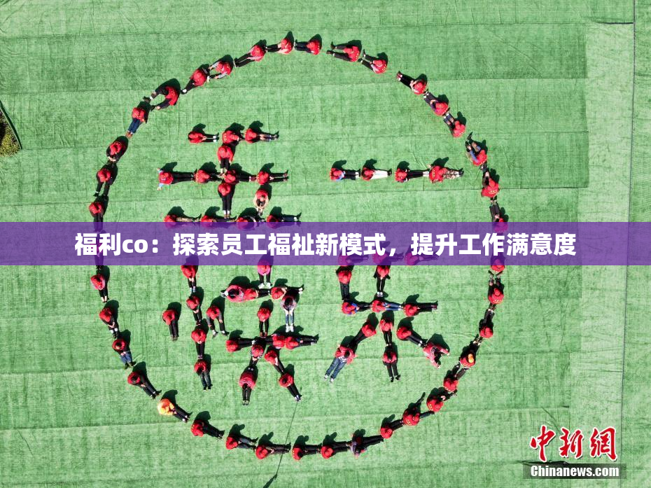 福利co：探索员工福祉新模式，提升工作满意度