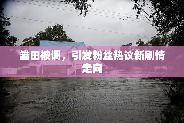 雏田被调，引发粉丝热议新剧情走向