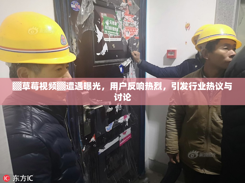 ▓草莓视频▓遭遇曝光，用户反响热烈，引发行业热议与讨论