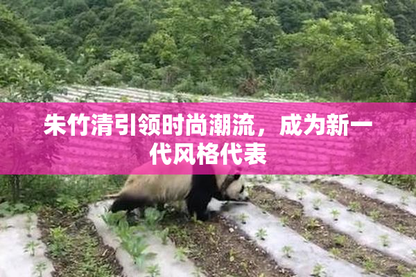 朱竹清引领时尚潮流，成为新一代风格代表
