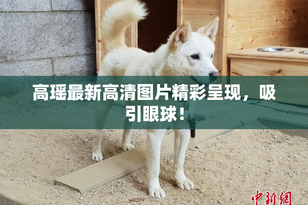 高瑶最新高清图片精彩呈现，吸引眼球！