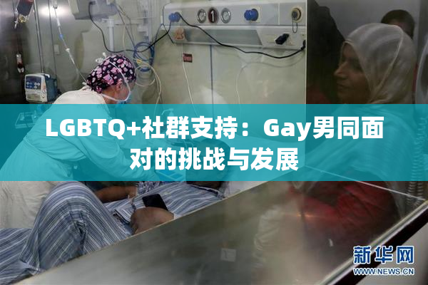 LGBTQ+社群支持：Gay男同面对的挑战与发展