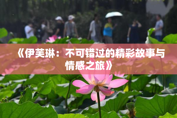 《伊芙琳：不可错过的精彩故事与情感之旅》