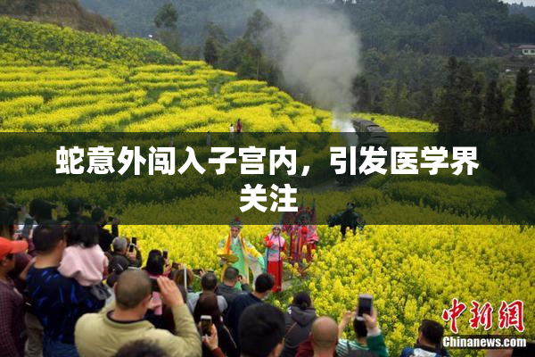 蛇意外闯入子宫内，引发医学界关注