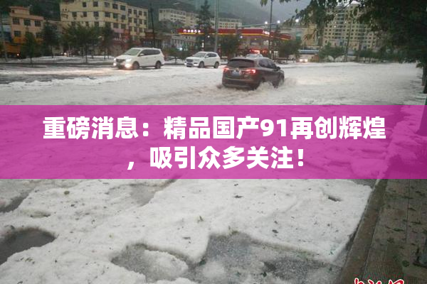 重磅消息：精品国产91再创辉煌，吸引众多关注！