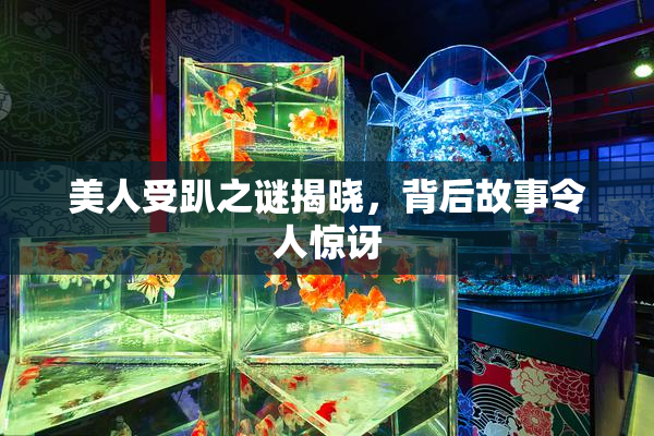 美人受趴之谜揭晓，背后故事令人惊讶