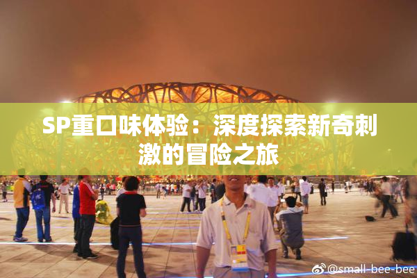 SP重口味体验：深度探索新奇刺激的冒险之旅