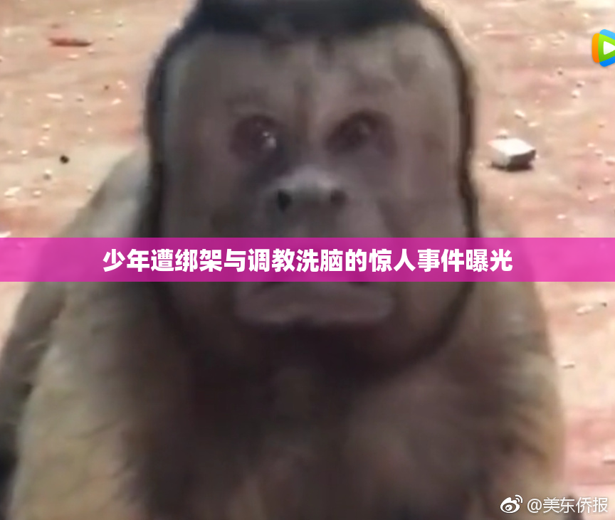 少年遭绑架与调教洗脑的惊人事件曝光