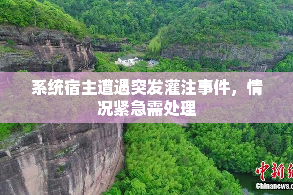 系统宿主遭遇突发灌注事件，情况紧急需处理