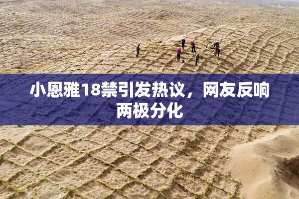 小恩雅18禁引发热议，网友反响两极分化