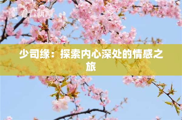 少司缘：探索内心深处的情感之旅