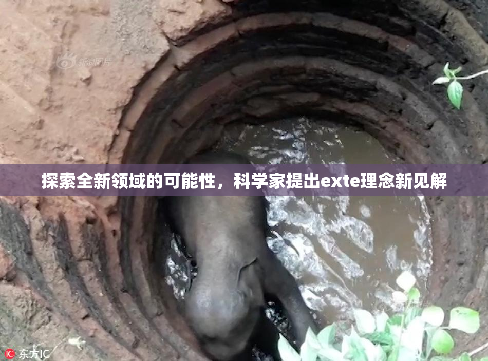 探索全新领域的可能性，科学家提出exte理念新见解