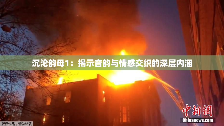 沉沦韵母1：揭示音韵与情感交织的深层内涵