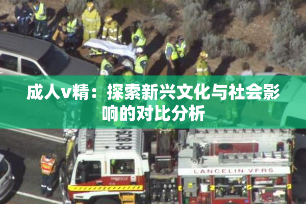 成人v精：探索新兴文化与社会影响的对比分析