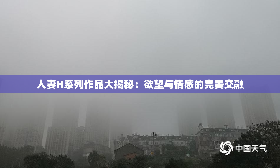 人妻H系列作品大揭秘：欲望与情感的完美交融