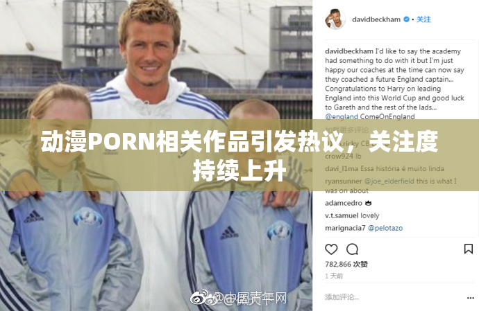 动漫PORN相关作品引发热议，关注度持续上升