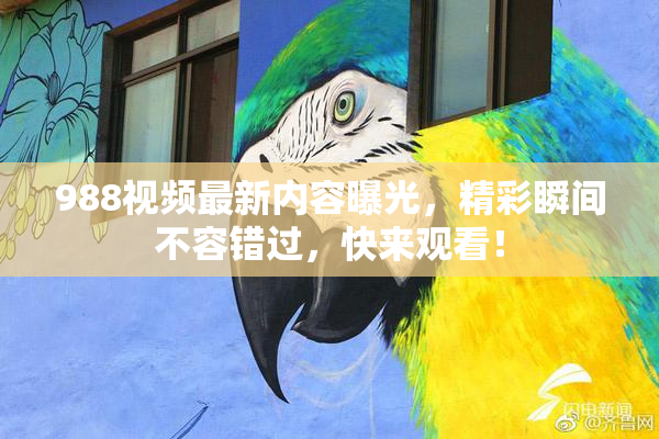 988视频最新内容曝光，精彩瞬间不容错过，快来观看！