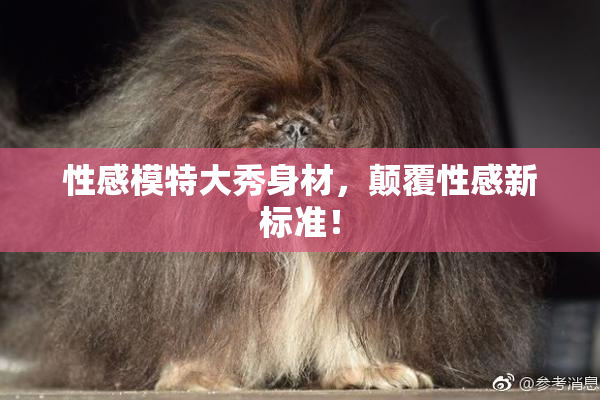 性感模特大秀身材，颠覆性感新标准！