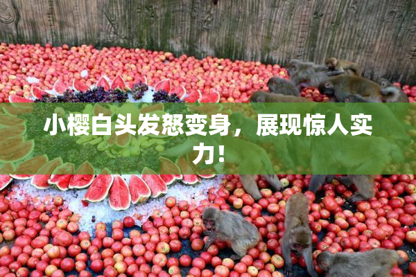 小樱白头发怒变身，展现惊人实力！