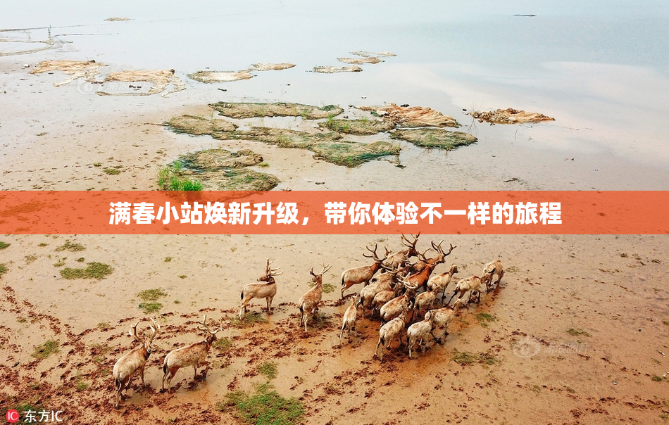 满春小站焕新升级，带你体验不一样的旅程