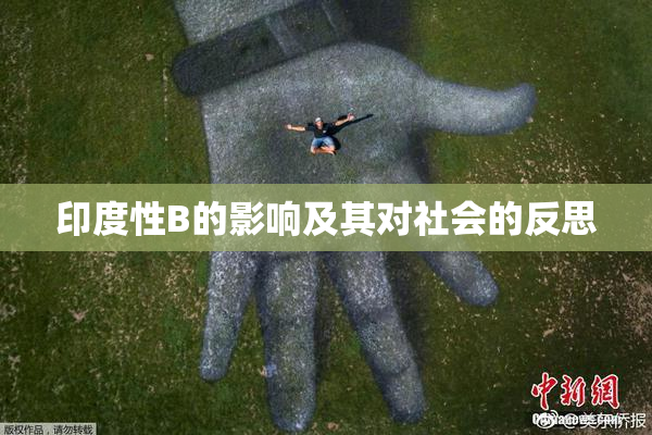 印度性B的影响及其对社会的反思
